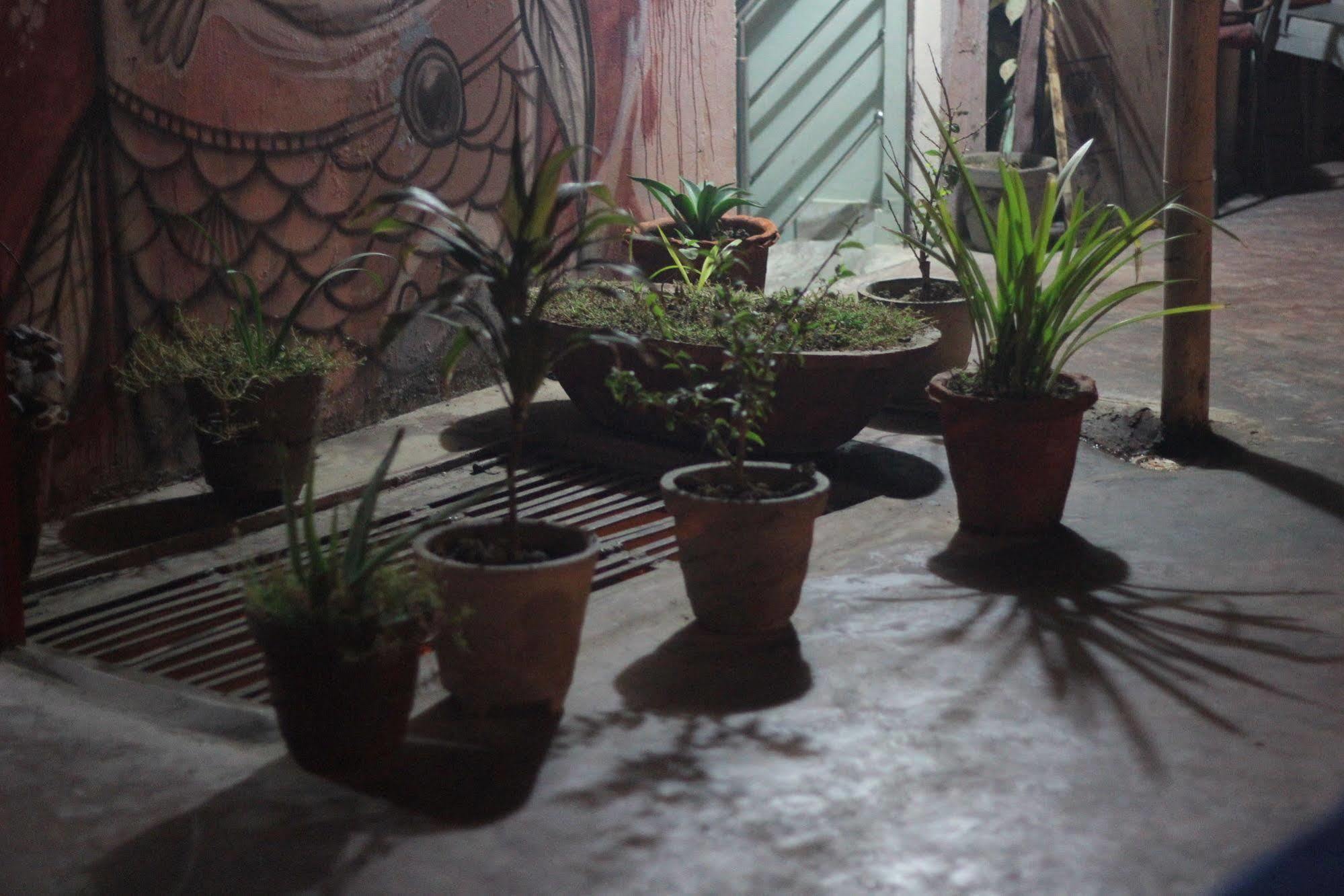 Pyrenees Homestay Agra  Exterior foto